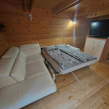 Koca Planika, Sviscaki Villa Ilirska Bistrica Bagian luar foto