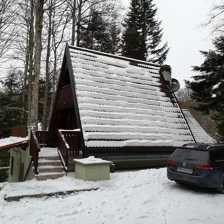 Koca Planika, Sviscaki Villa Ilirska Bistrica Bagian luar foto