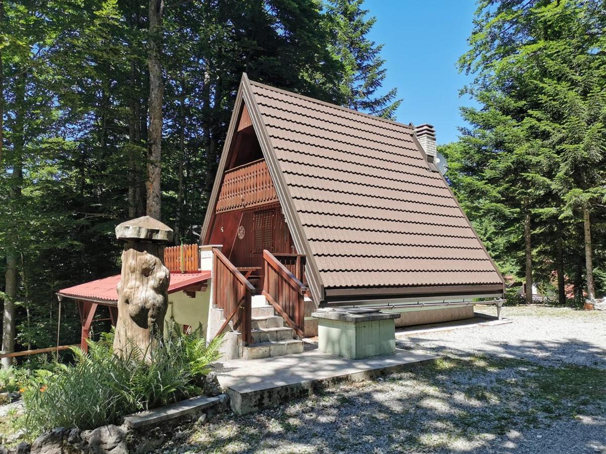 Koca Planika, Sviscaki Villa Ilirska Bistrica Bagian luar foto