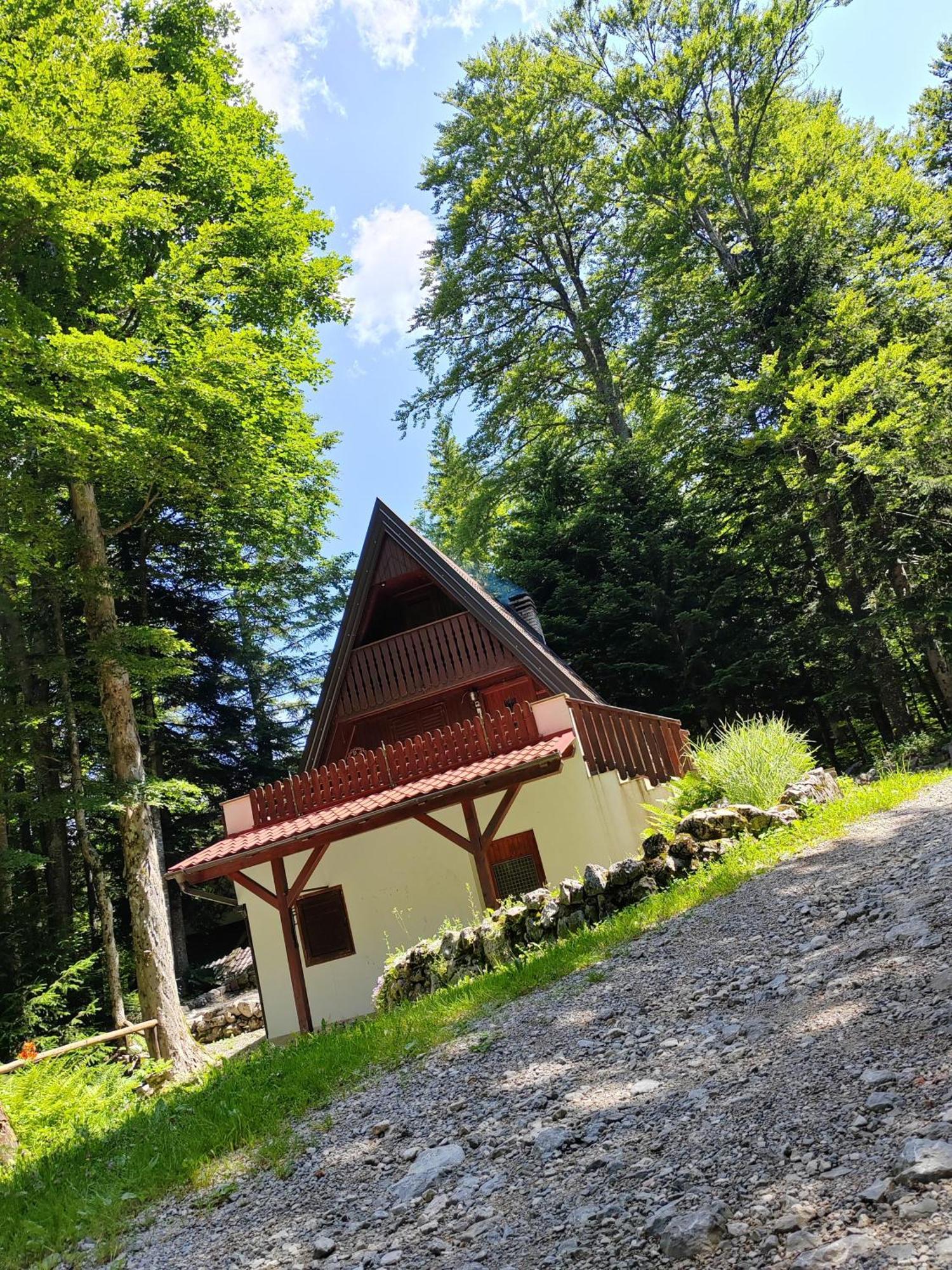 Koca Planika, Sviscaki Villa Ilirska Bistrica Bagian luar foto